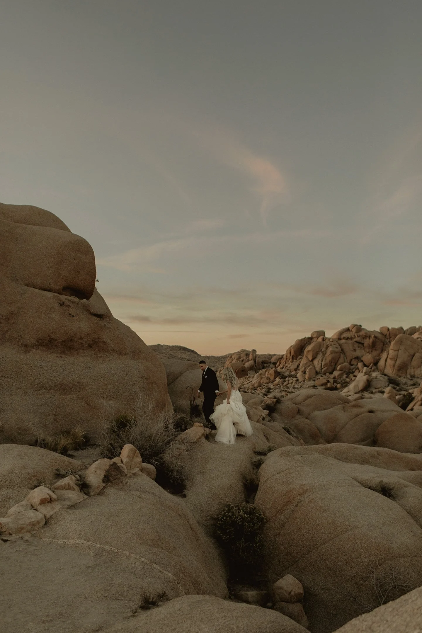 ranucci photography - joshua tree elopement photographer 23.jpg