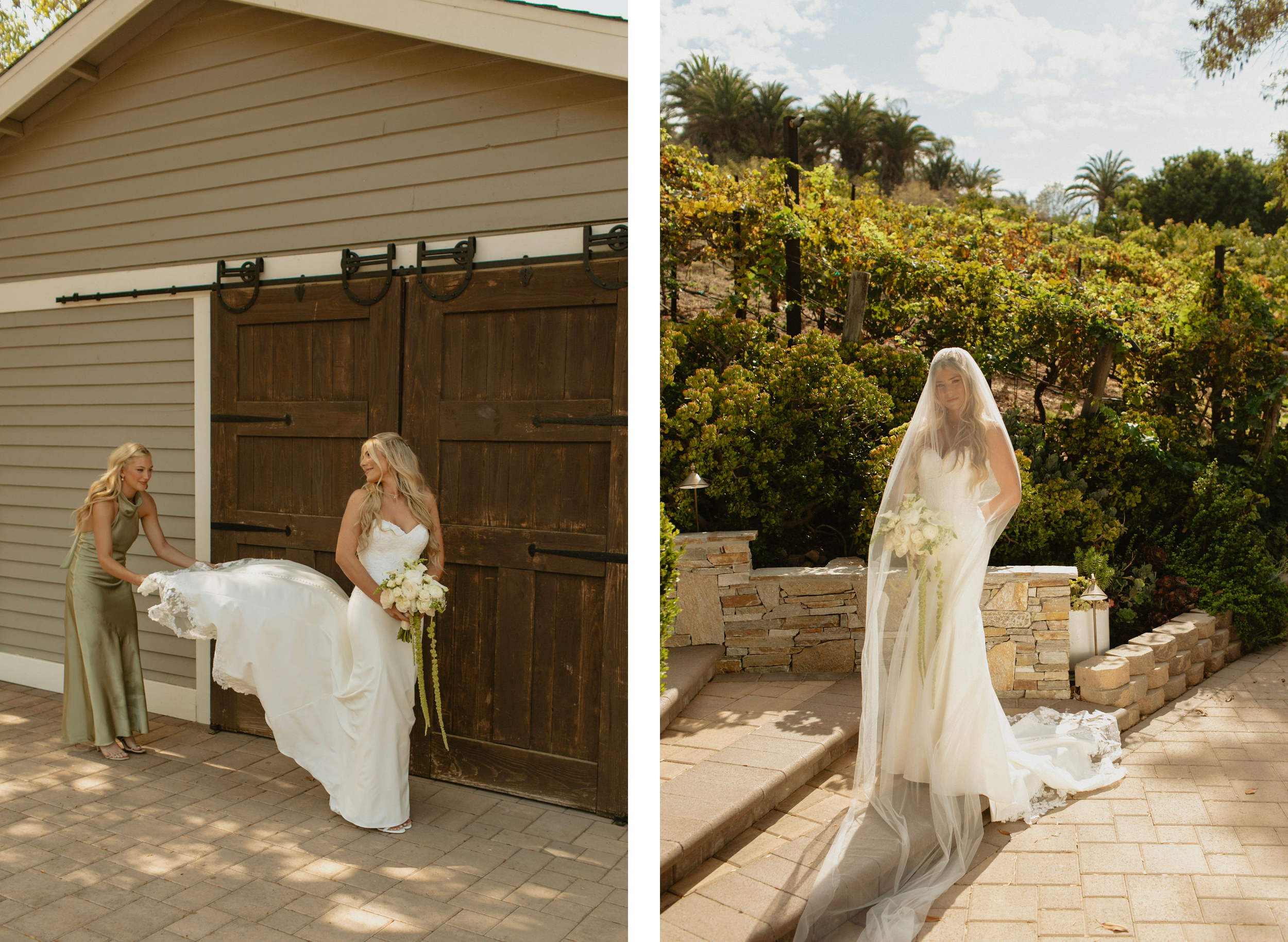 ranucciphotographycasicielovineyards105.png