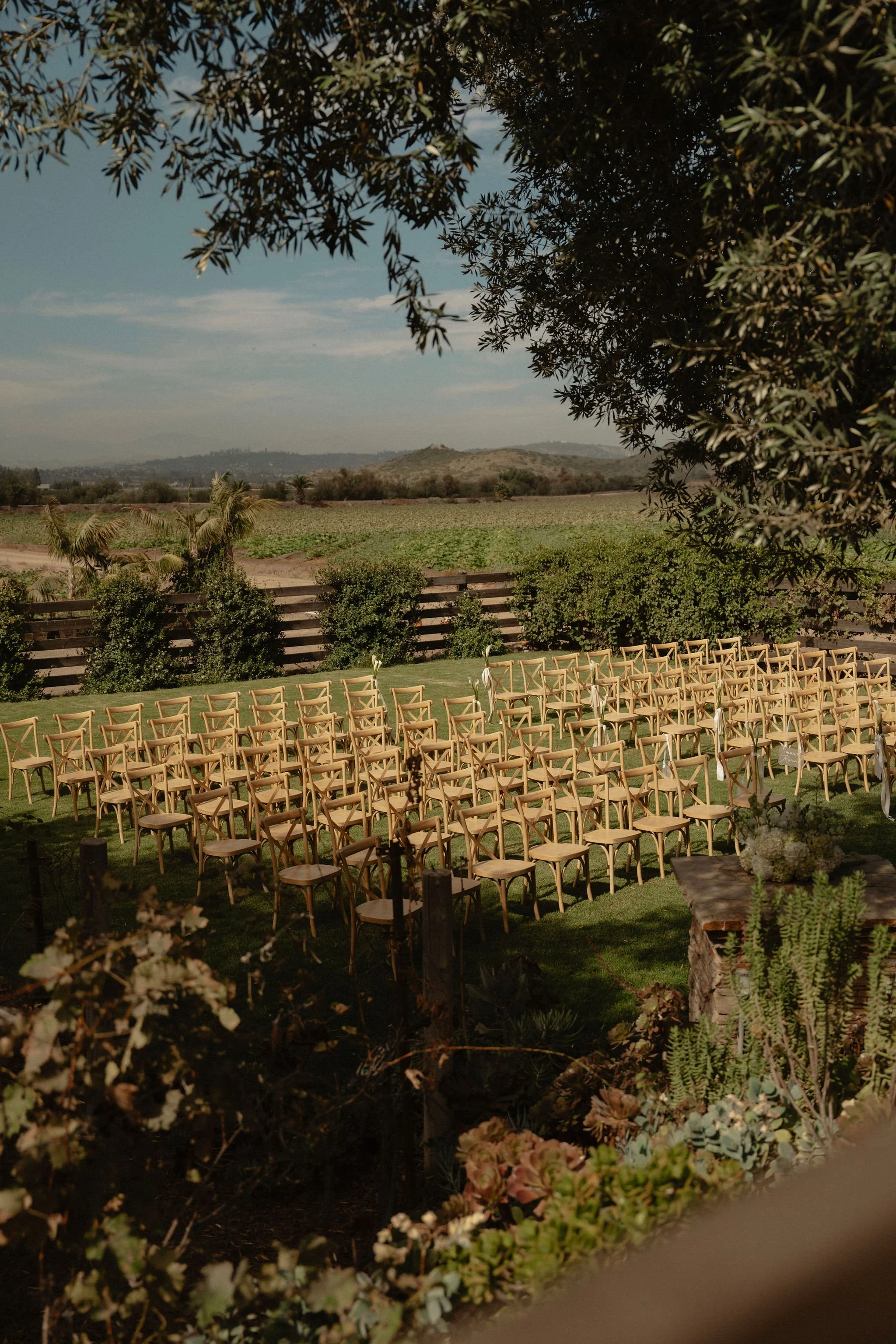 ranucciphotographycasicielovineyards163.jpg