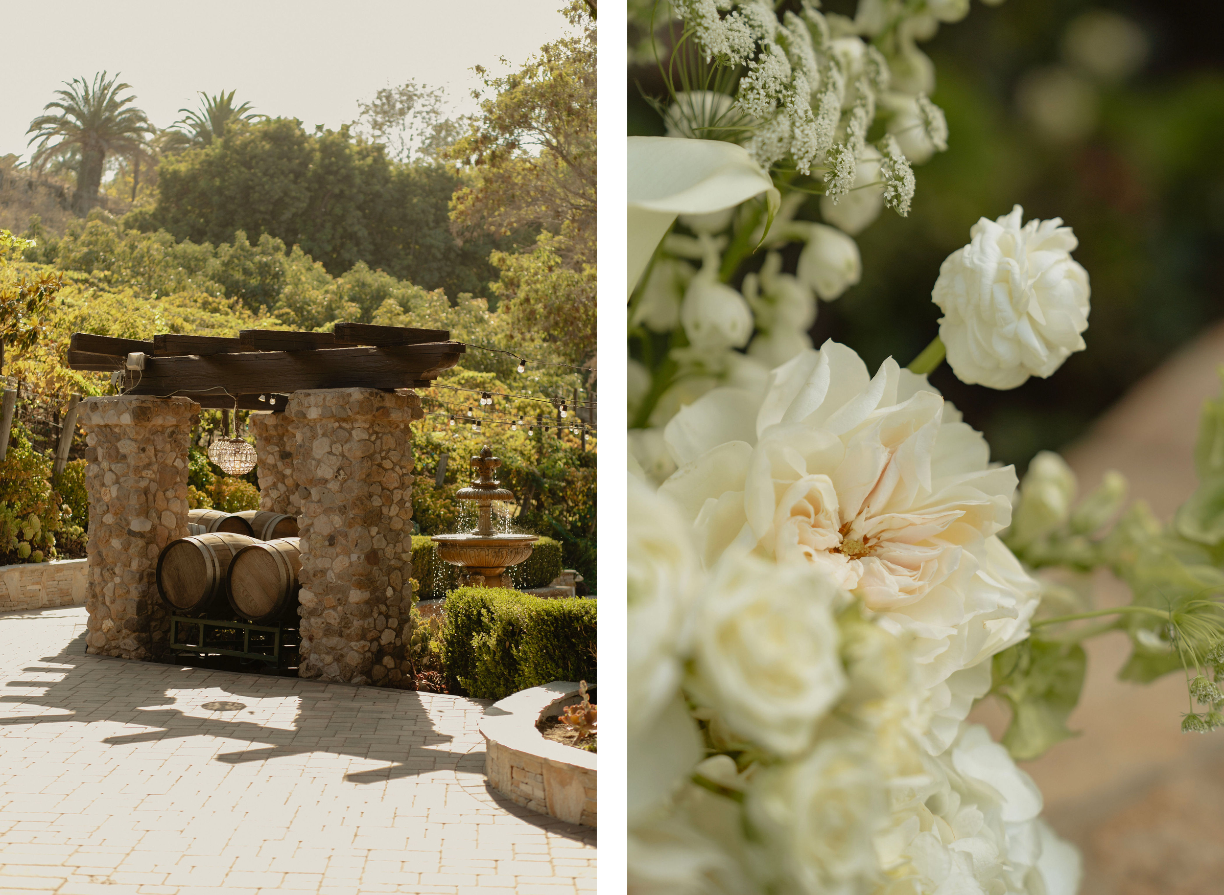 ranucciphotographycasicielovineyards159.png
