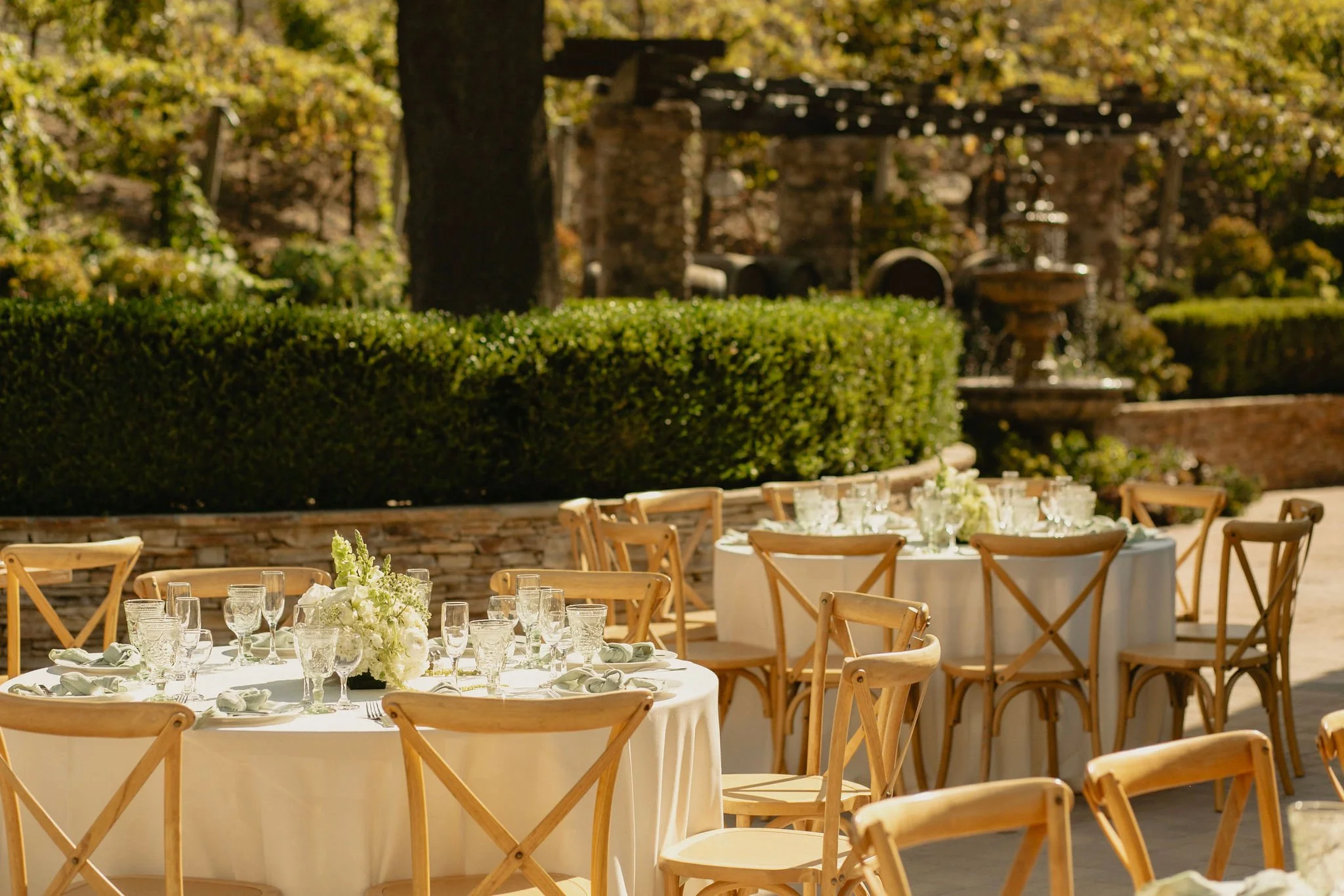 ranucciphotographycasicielovineyards373.jpg