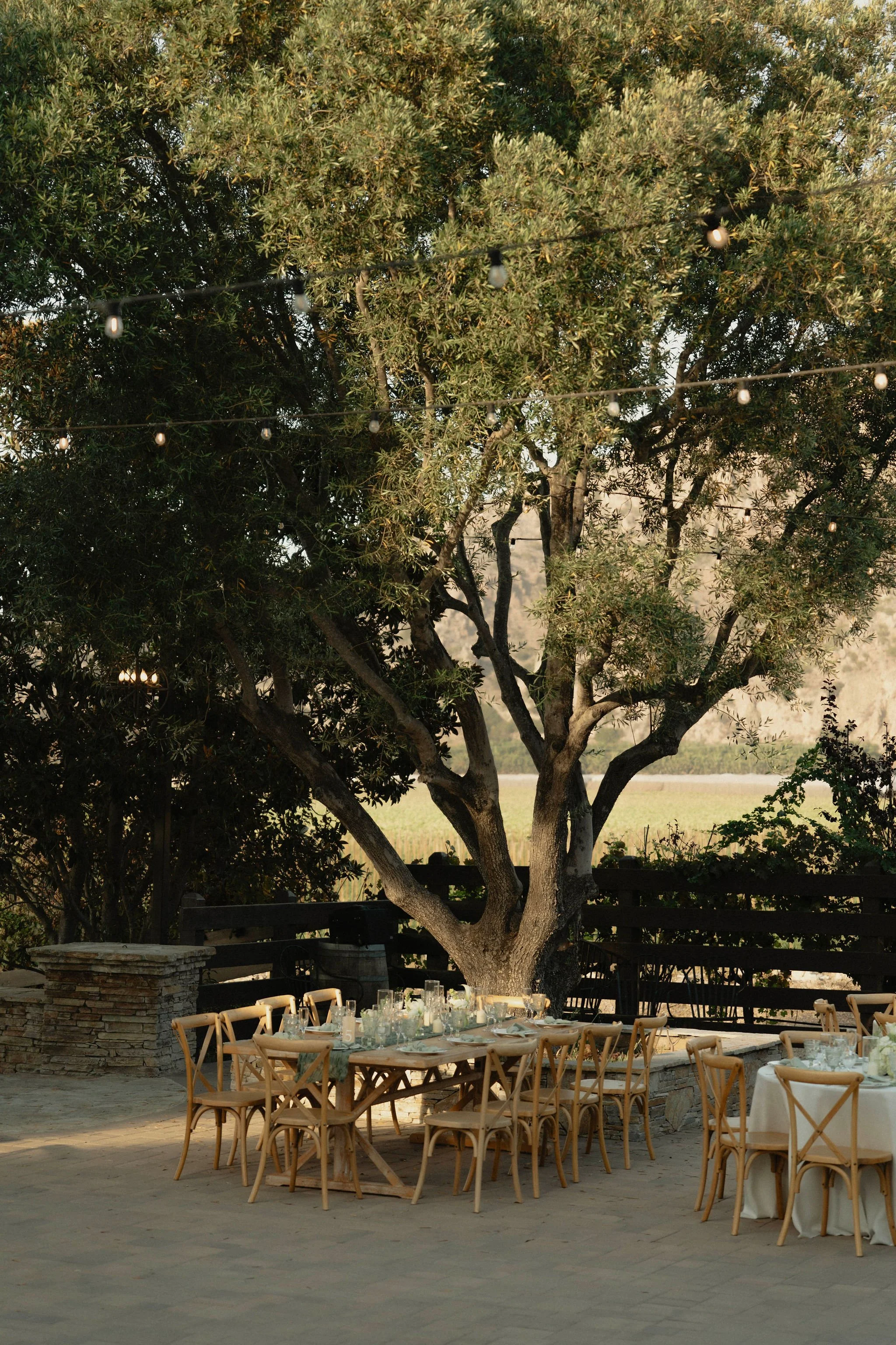 ranucciphotographycasicielovineyards386.jpg