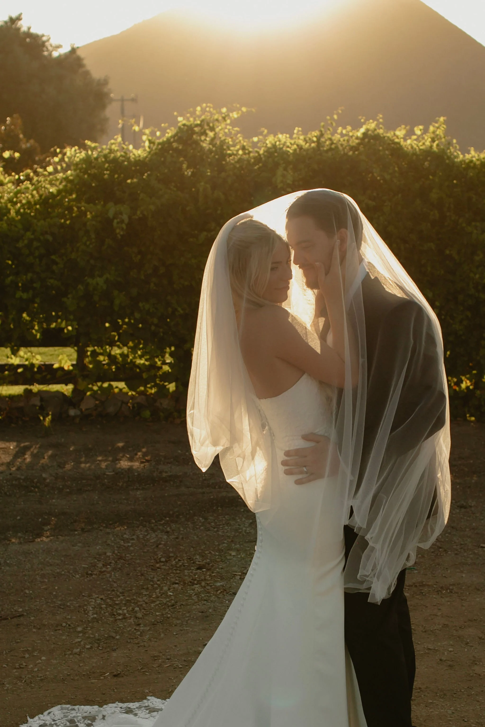 ranucciphotographycasicielovineyards403.jpg