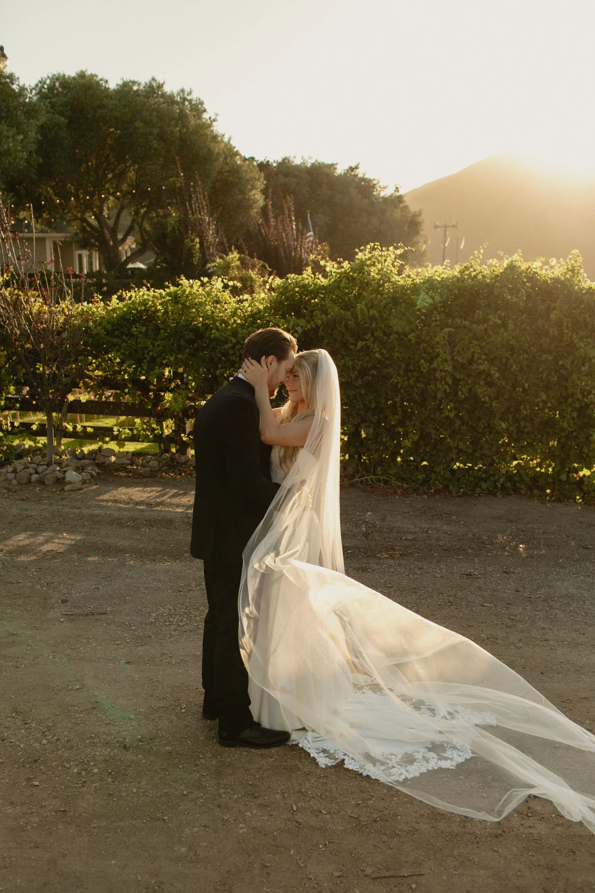 ranucciphotographycasicielovineyards429.jpg
