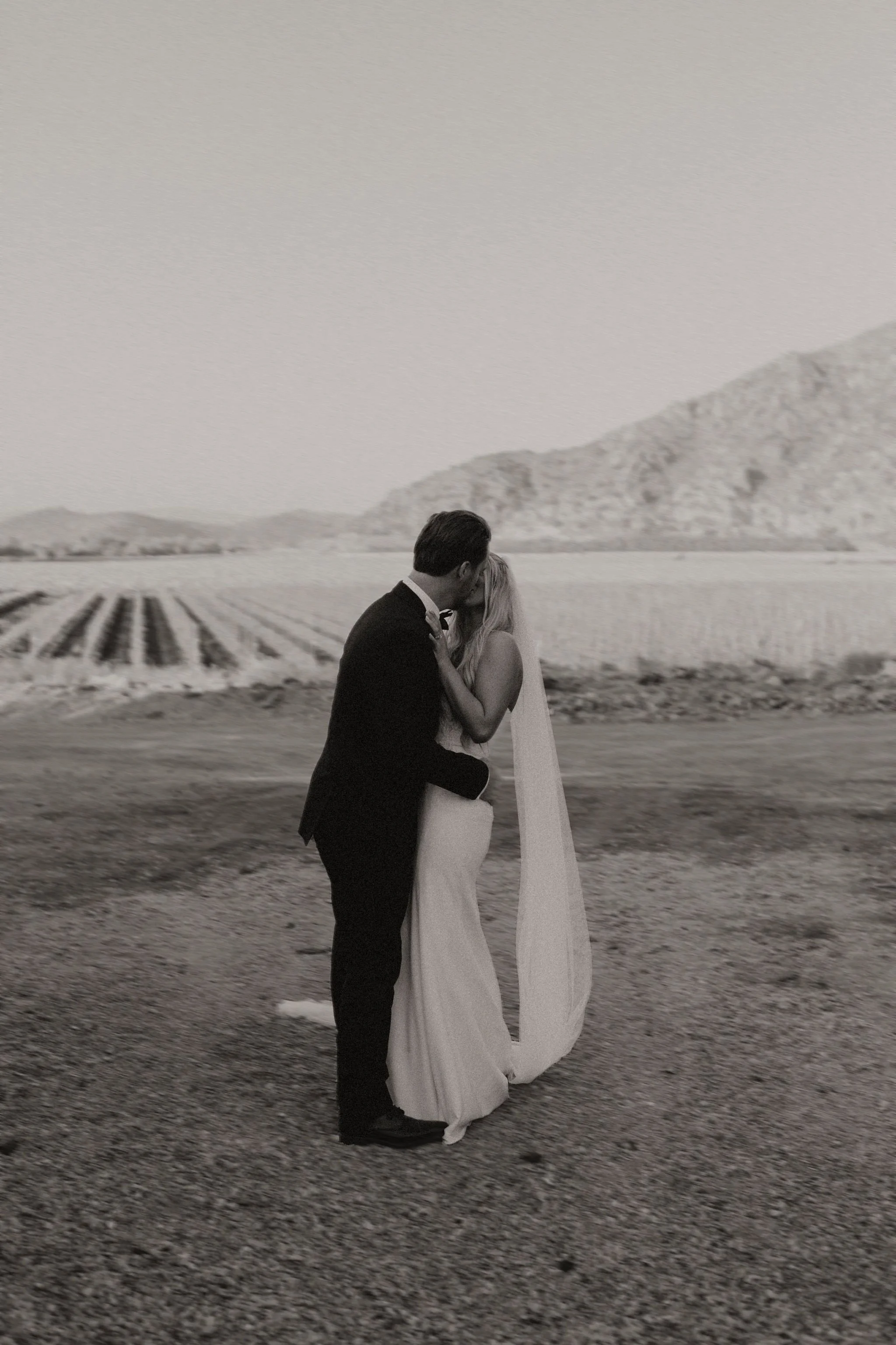 ranucciphotographycasicielovineyards438.jpg