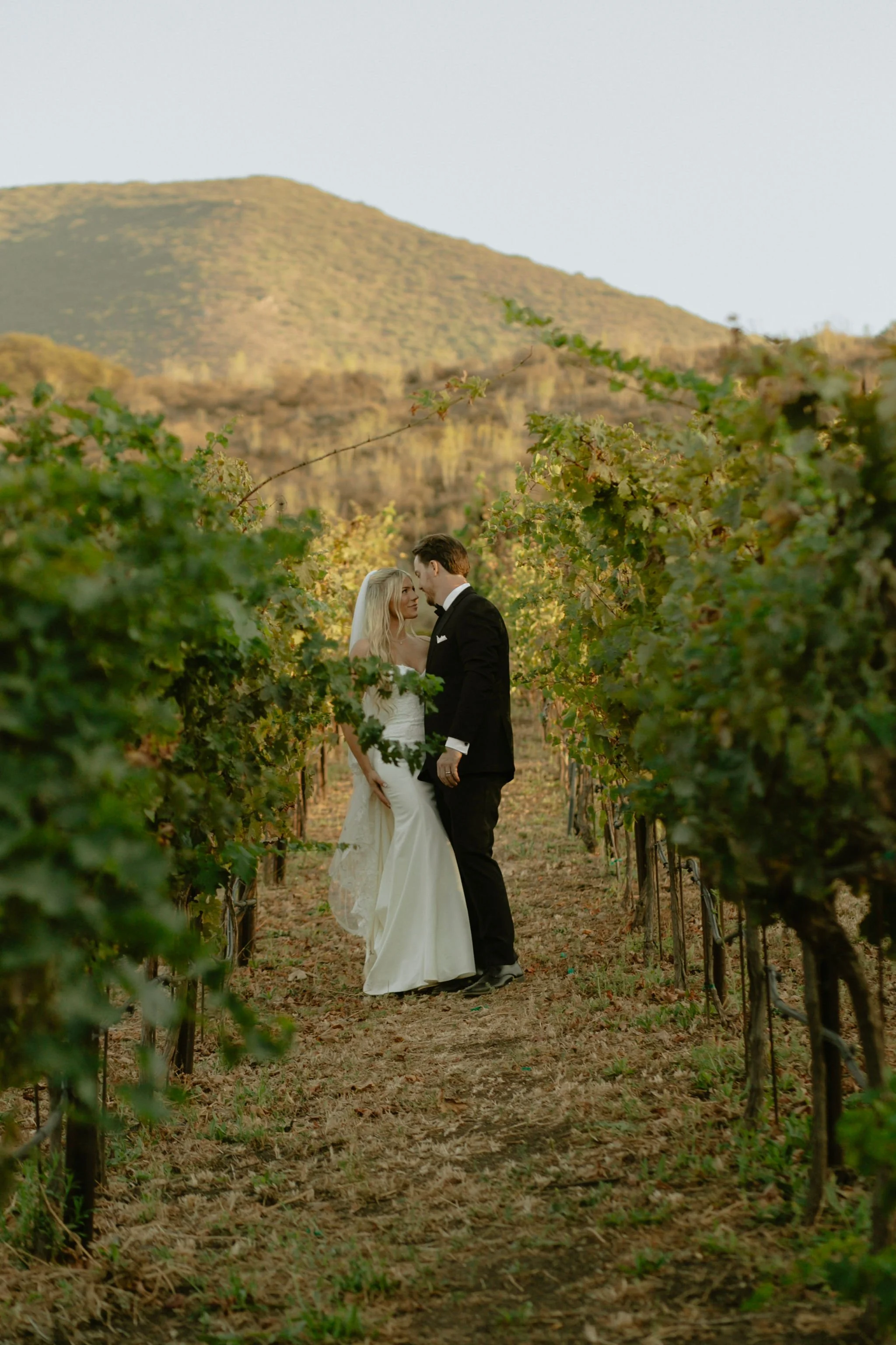 ranucciphotographycasicielovineyards458.jpg