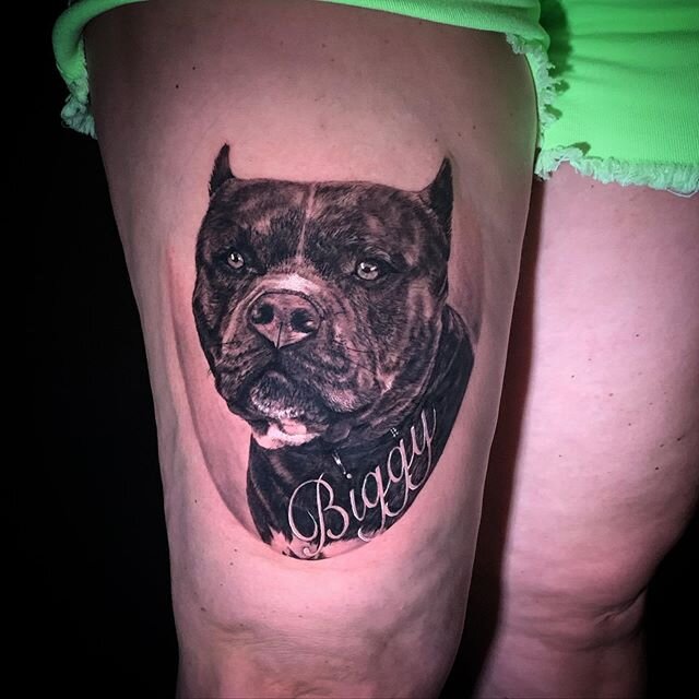 Remember when we did tattoos and the world wasn&rsquo;t on fire? Here is a puppy portrait to hopefully lighten your day. 
#rosevilletattooco #chuckjamesart #getchucked #putbull #bulliesofinstagram #tattoo #girlswithtattoos #inkedgirls #worldfamousink