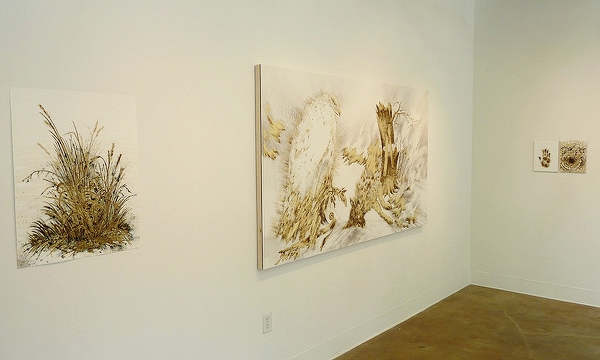 Gallery | IN THE BRACKEN: SARAH A. SMITH Project | SHAWN BITTERS April 27 – June 9, 2013