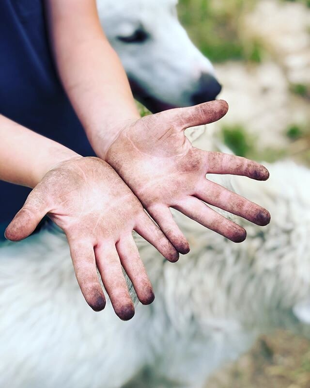 Farm hands @blackbearfarm