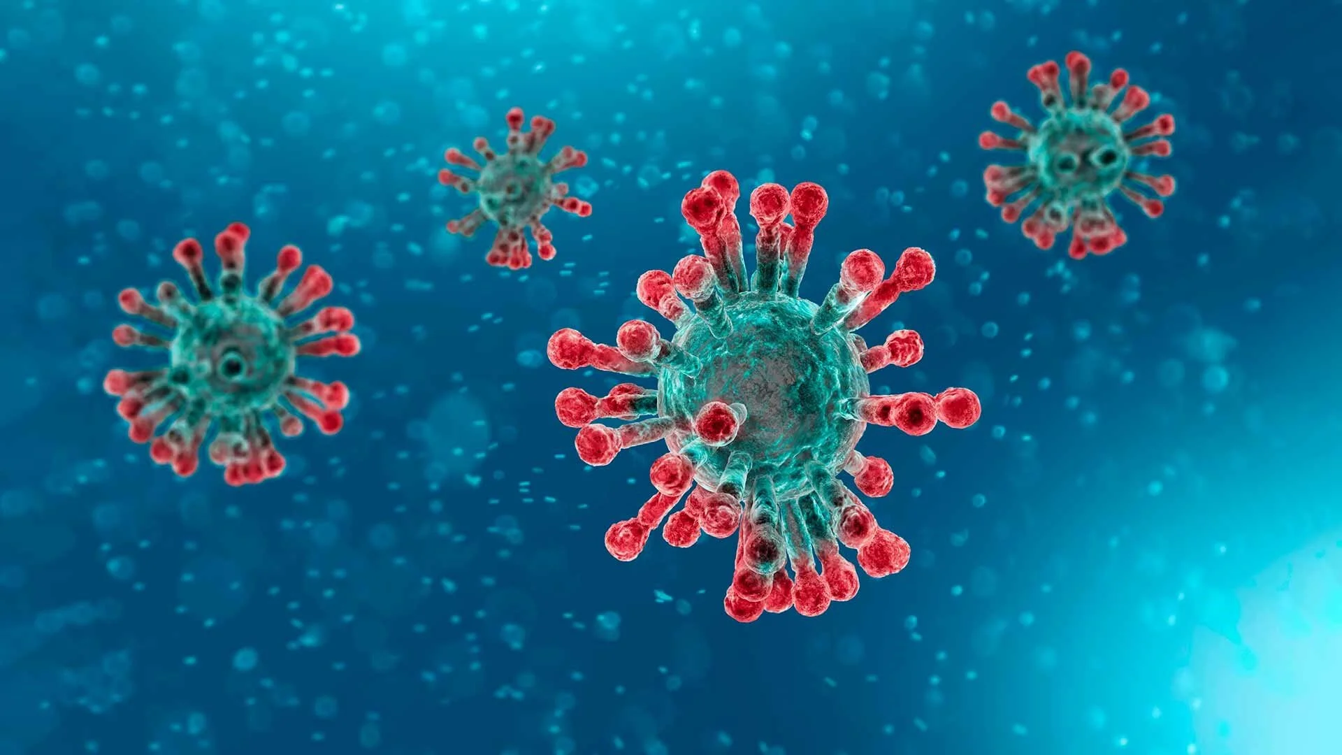 Respaldo Regulatorio en Tiempos del Coronavirus