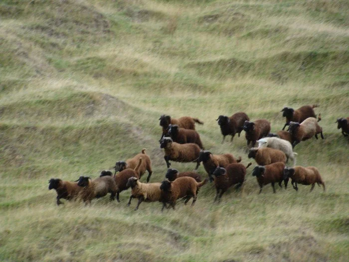 PIWS & Bo Hipis April 09 120.jpg