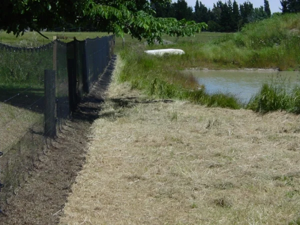Predator proof fence at Lansdowne Valley