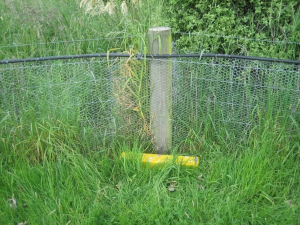 Predator proof fence and trap at Lansdowne Valley