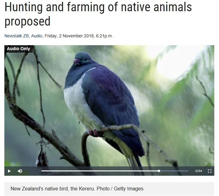 Roger Beattie Newstalk ZB