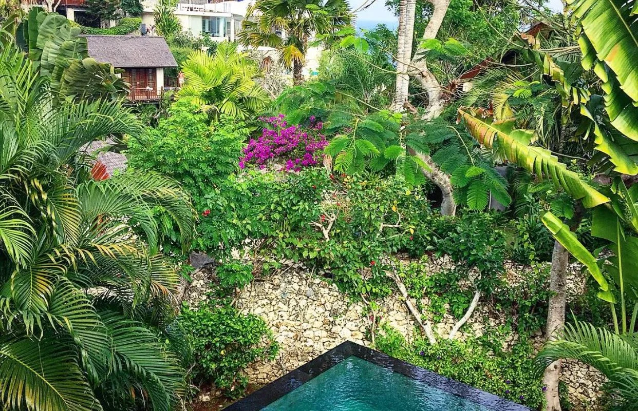 What Bali Taught Me About Food And Wellbeing