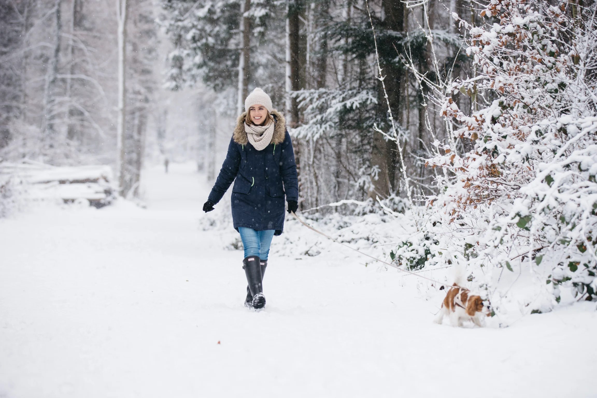 Why I Know You Can Create Your Healthy Dream Lifestyle