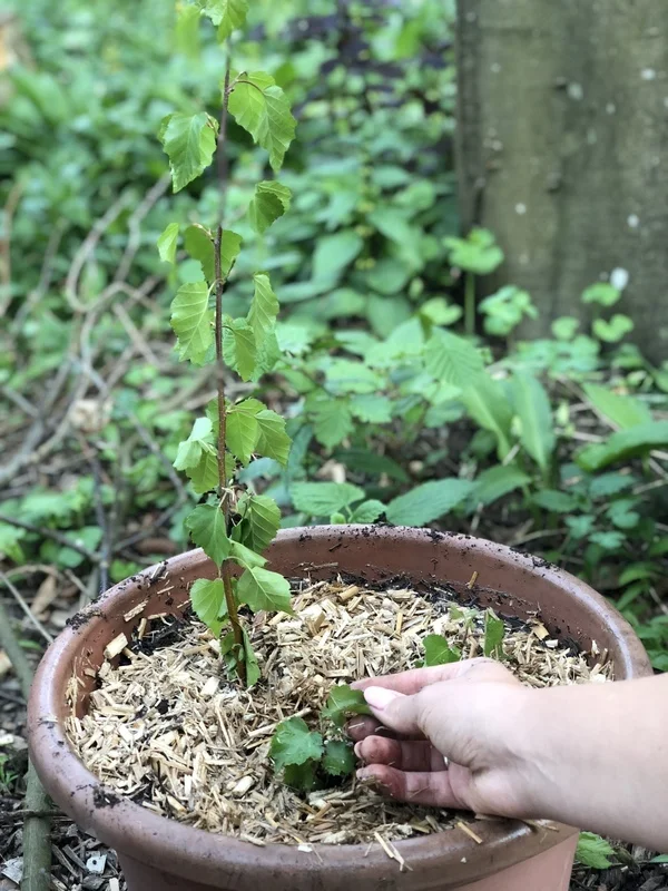 My Top 3 EARTH DAY Lessons + Glow Special