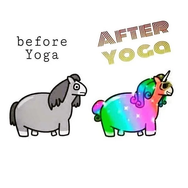 oh-yes-yoga-is-sure-to-put-the-shine-back-in-your-unicorn-yoga-yogahumour-yogafunnies.jpg