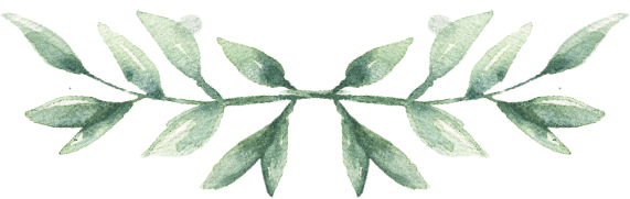 MF_Leaves_02.png