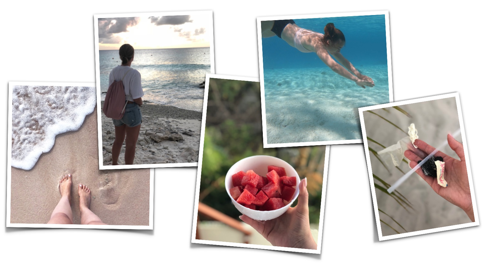 Bonaire Graphics 2.jpg