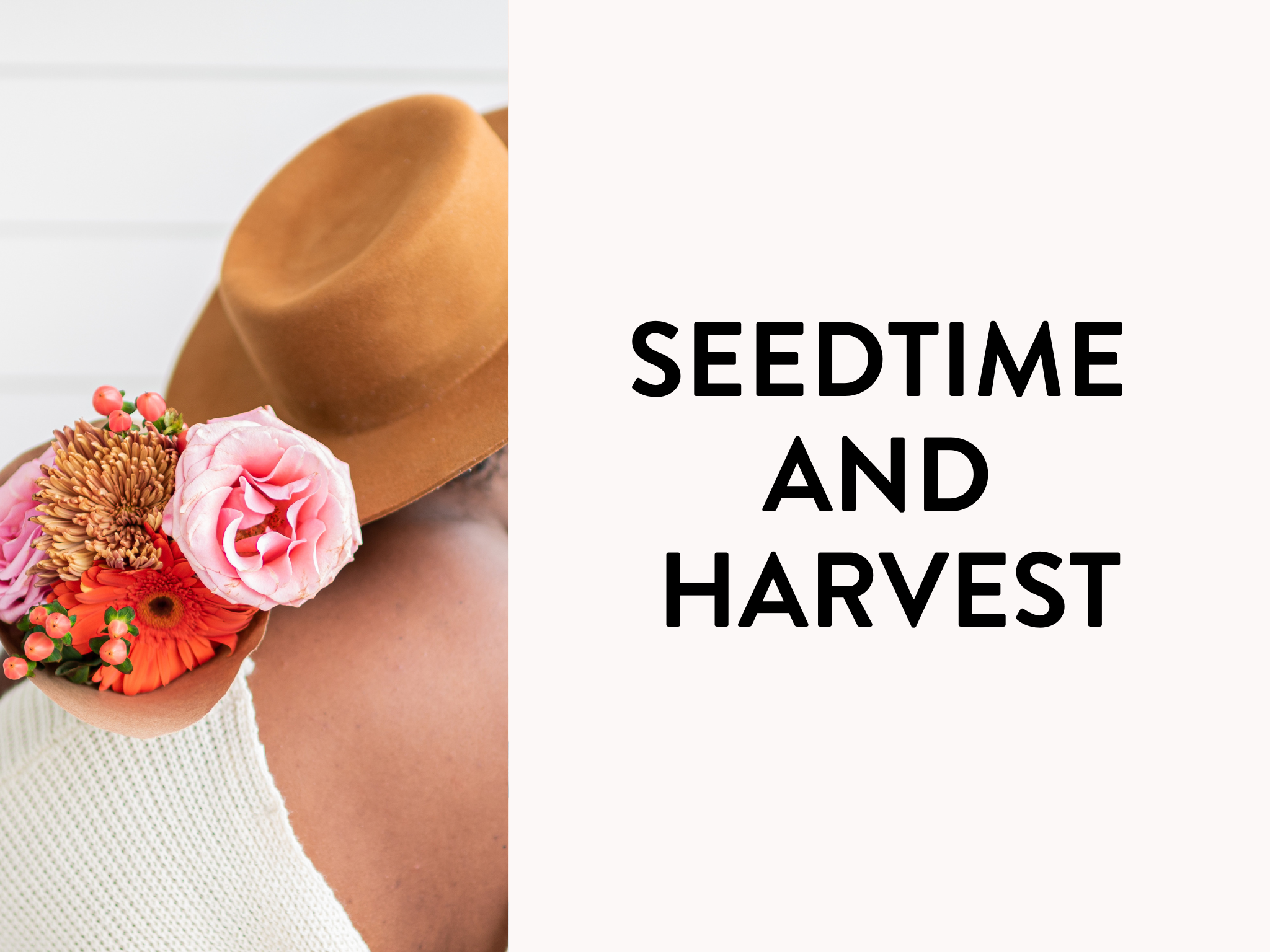 Seedtime and Harvest: How to Set Goals that Work