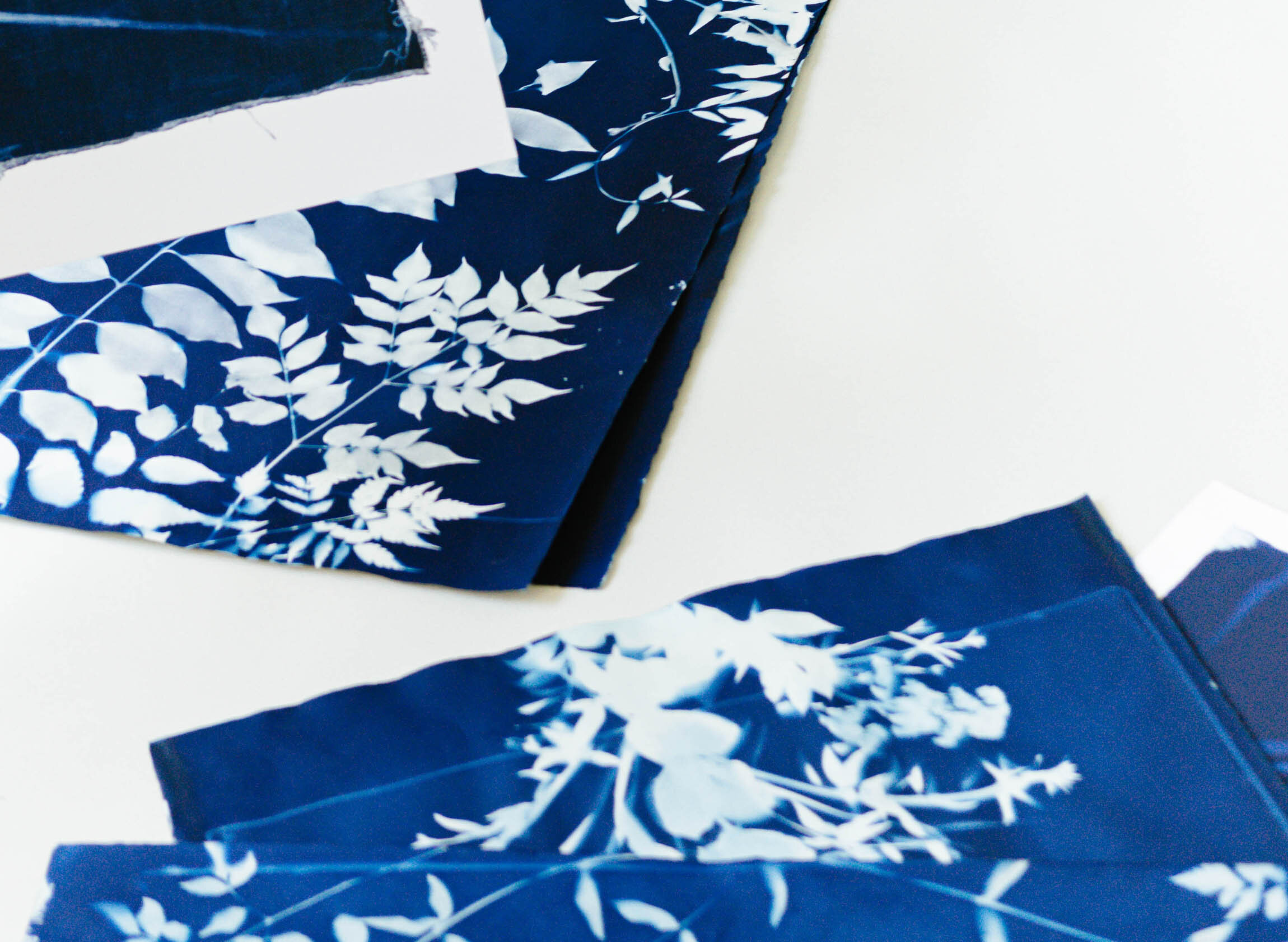 Creating With Cyanotypes
