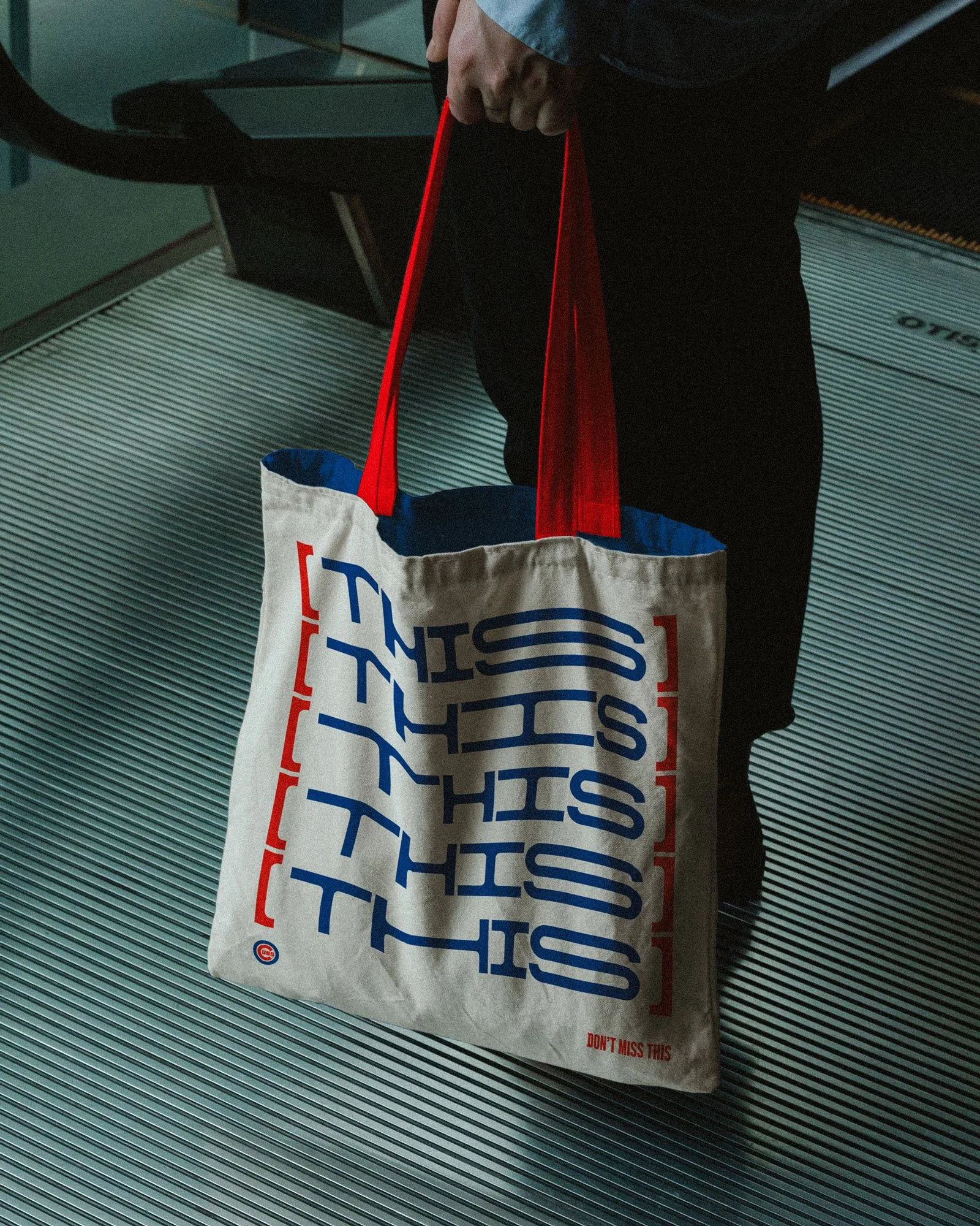 11_totebag.jpg.jpeg