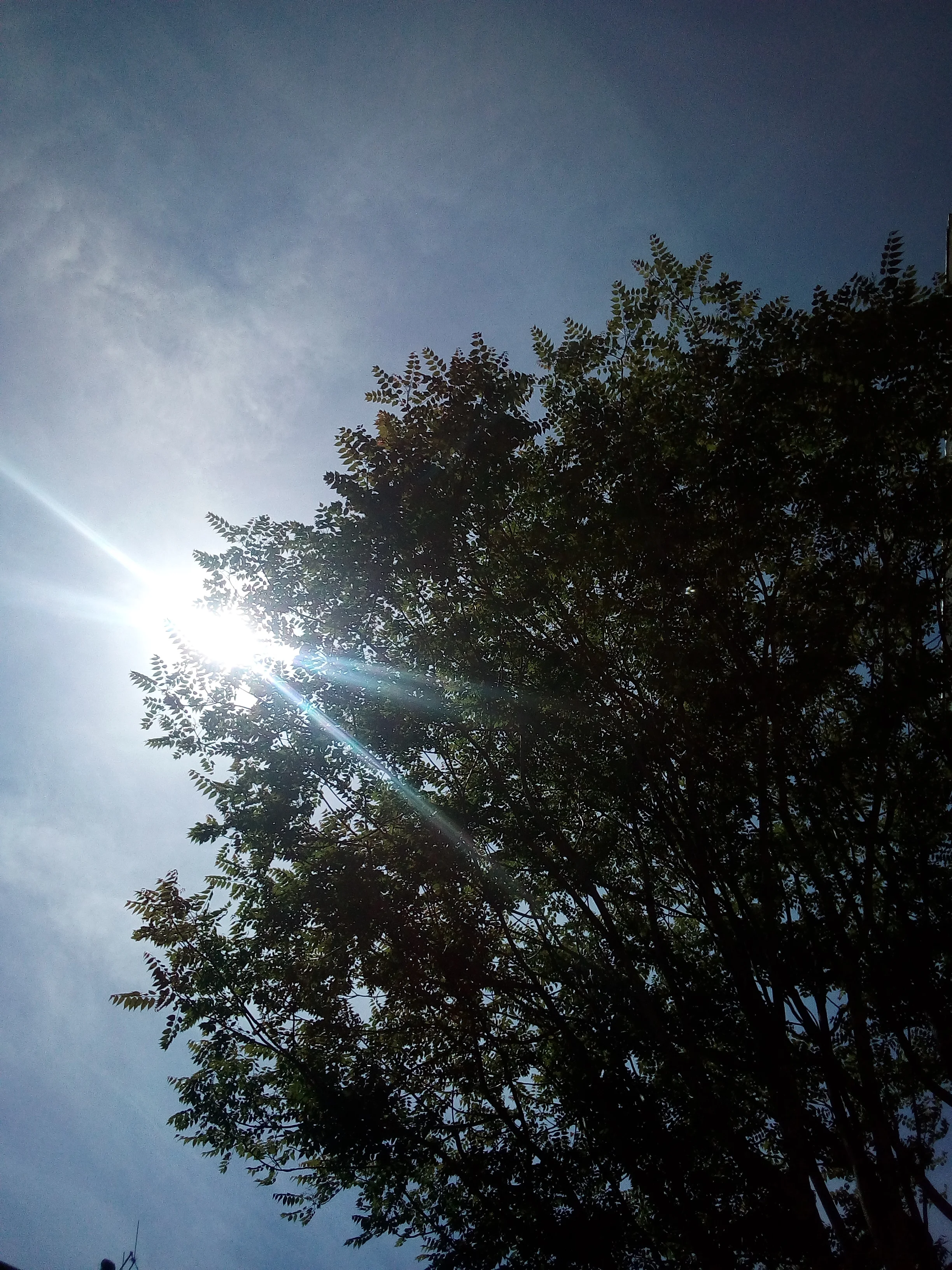 IMG_20180518_140444.jpg