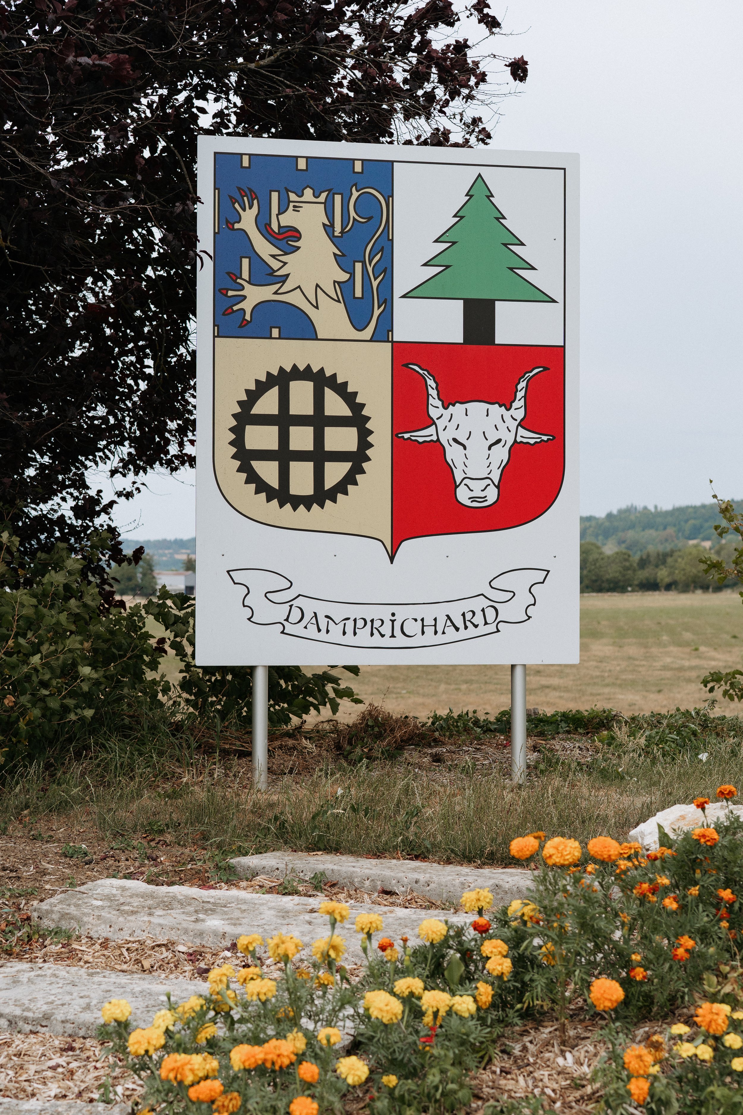 DSC02439.jpg