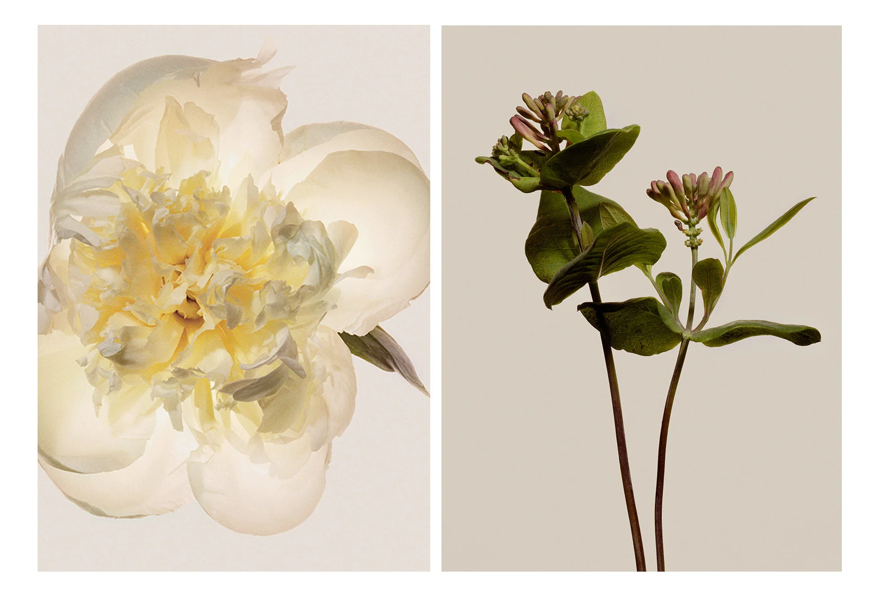 07 FLORALS_1B.jpg