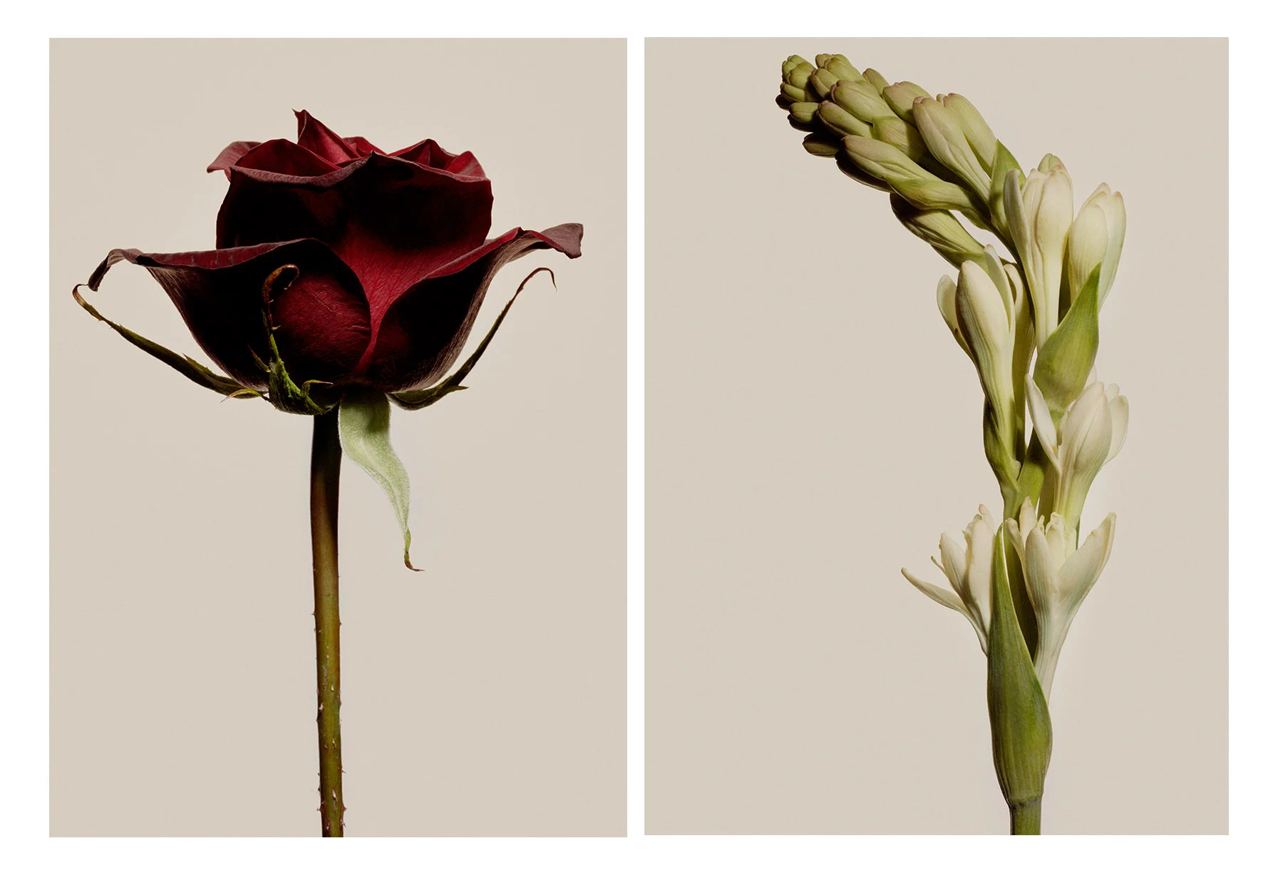 09 FLORALS3.jpg