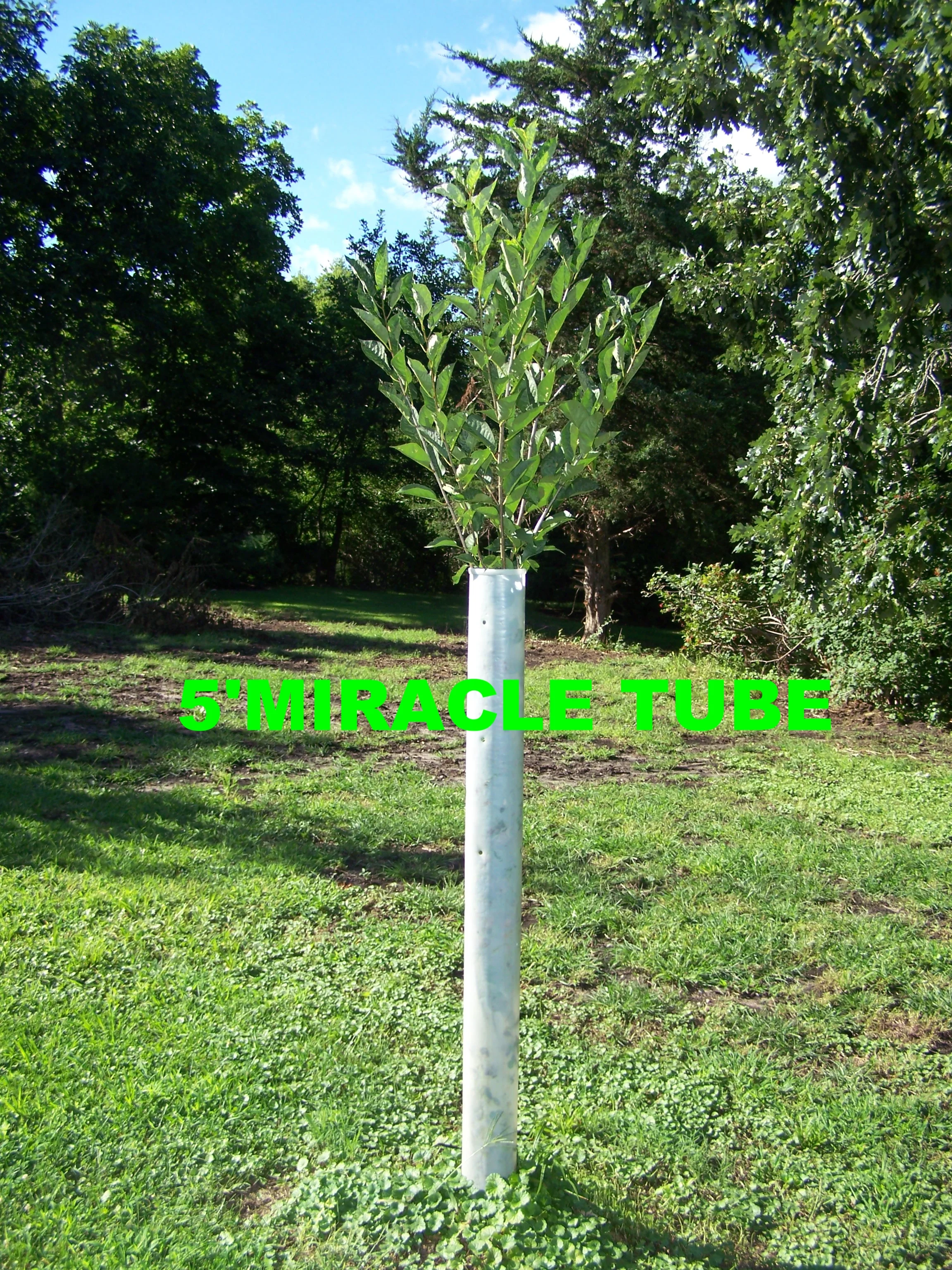 MIRACLE TUBES AND TREE PROTECTORS ARE PRICED THE SAME.