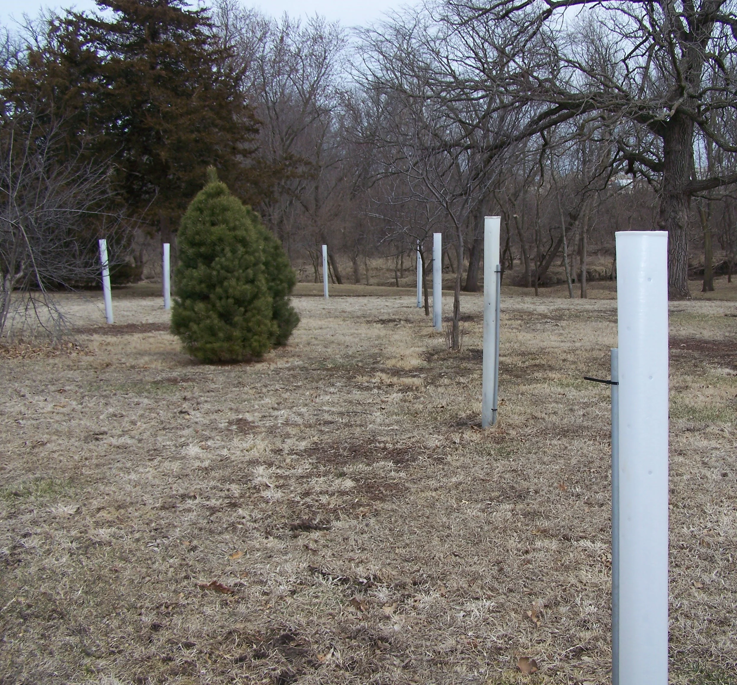 Tree Pro Tree Tubes