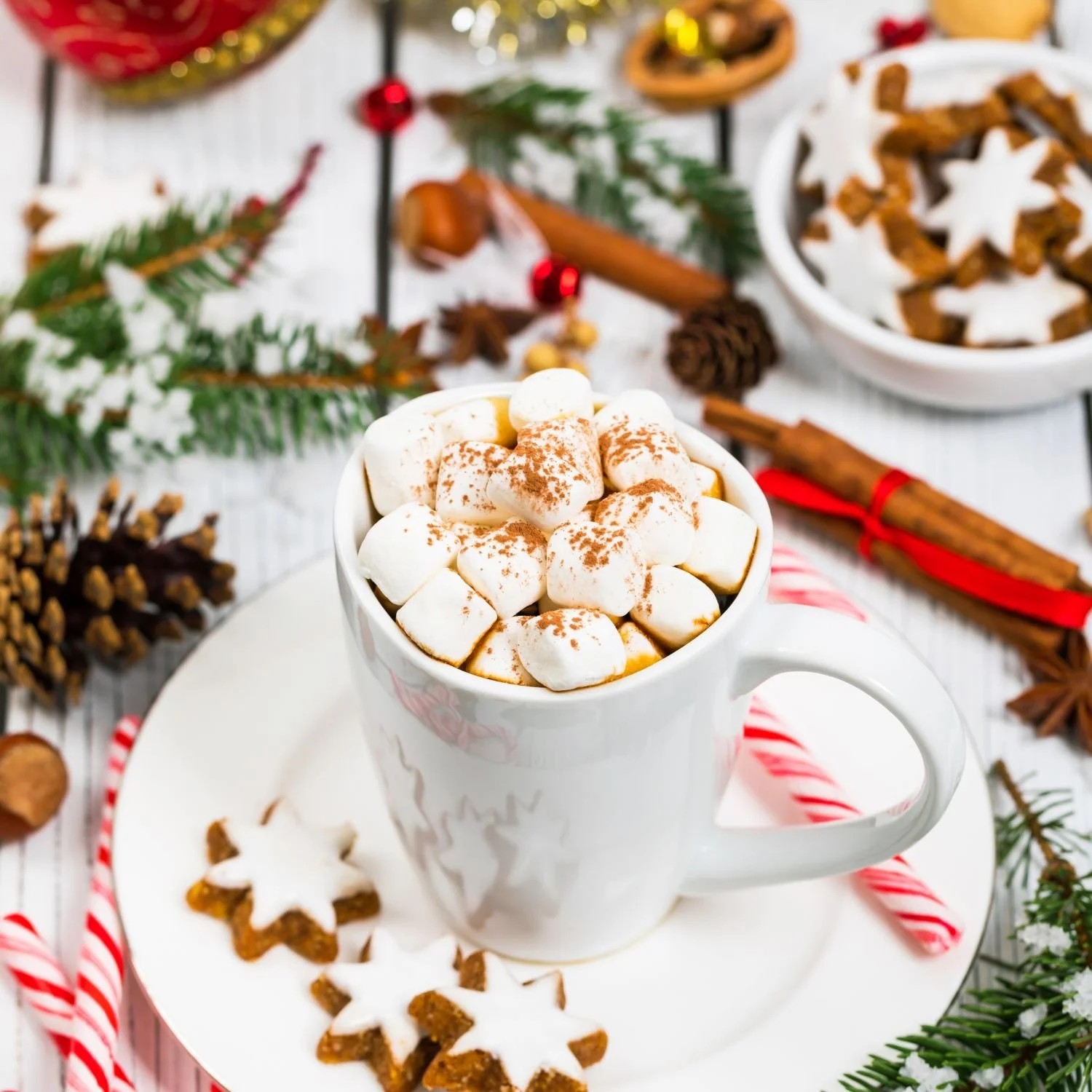 Carols &amp; Cocoa