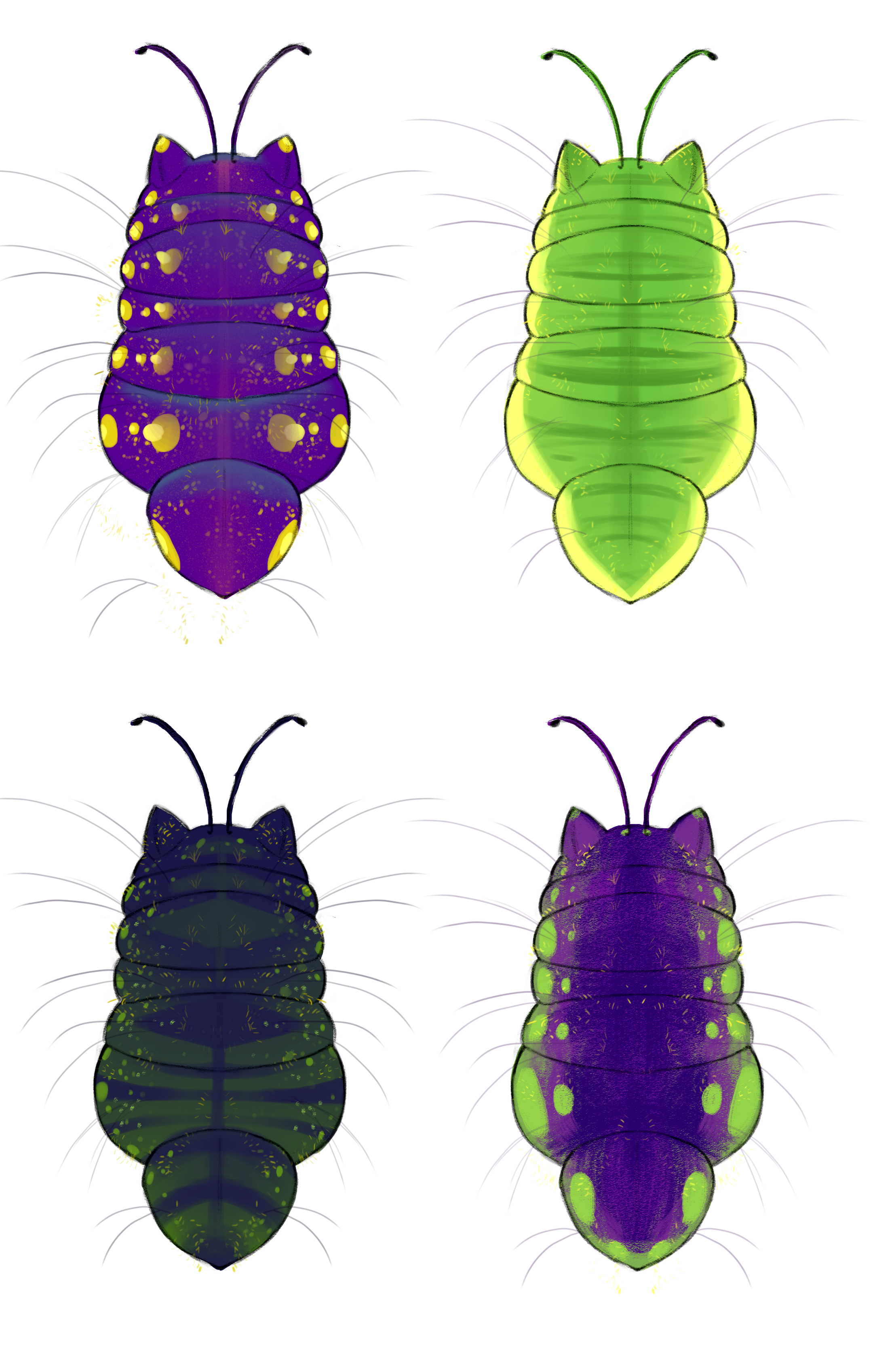 catpillar dorsal colored 2.png