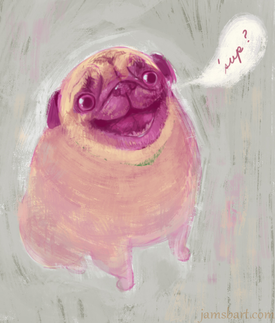 Pugs are the best. 6/2016
