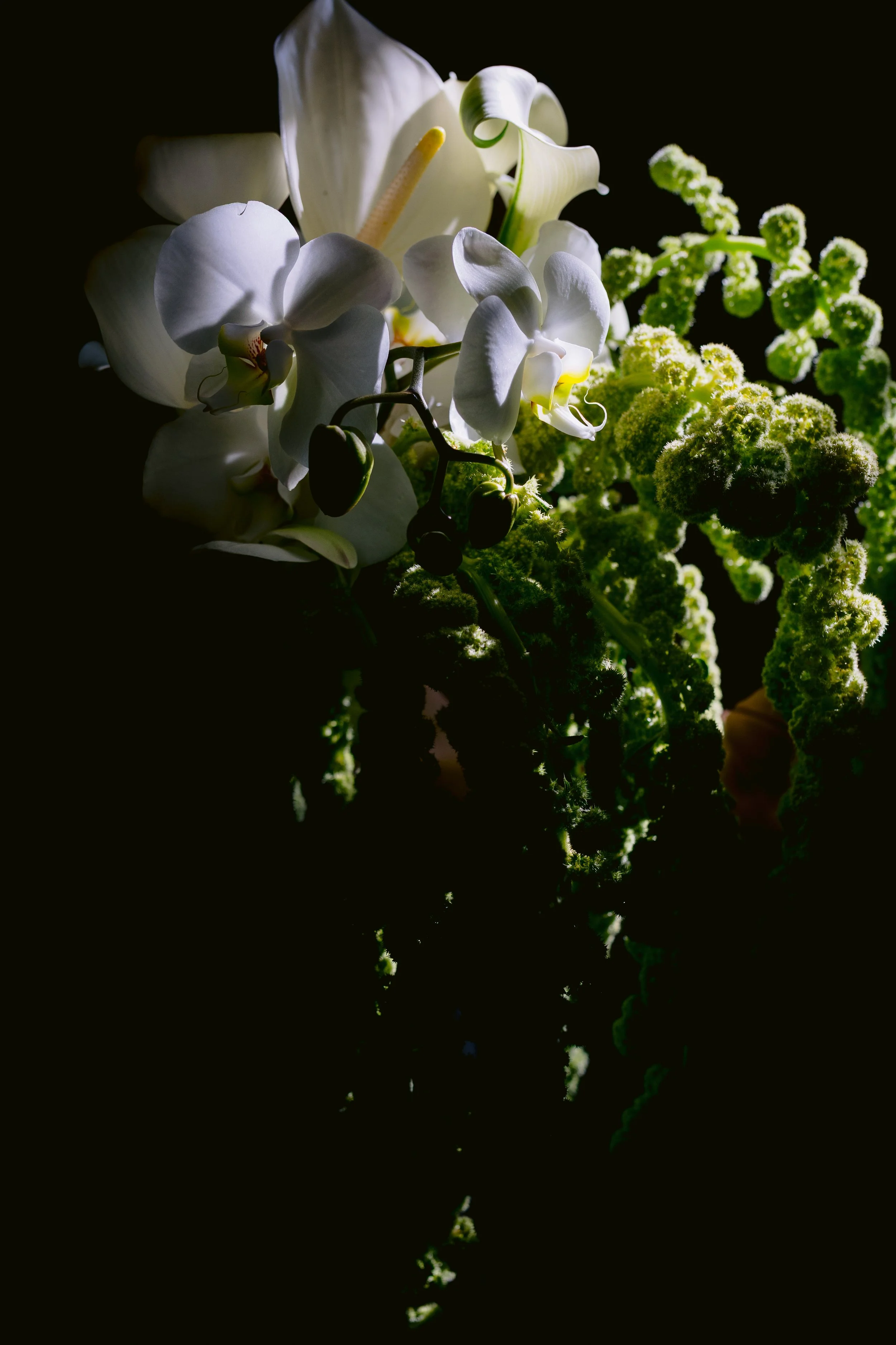 Amy & Adam by Billie Media Photography -03.jpg