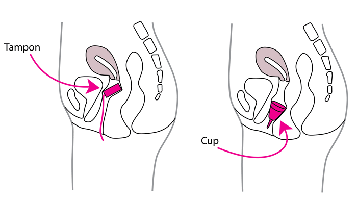 Talula-Cup-Internal-Diagram-01-1.gif