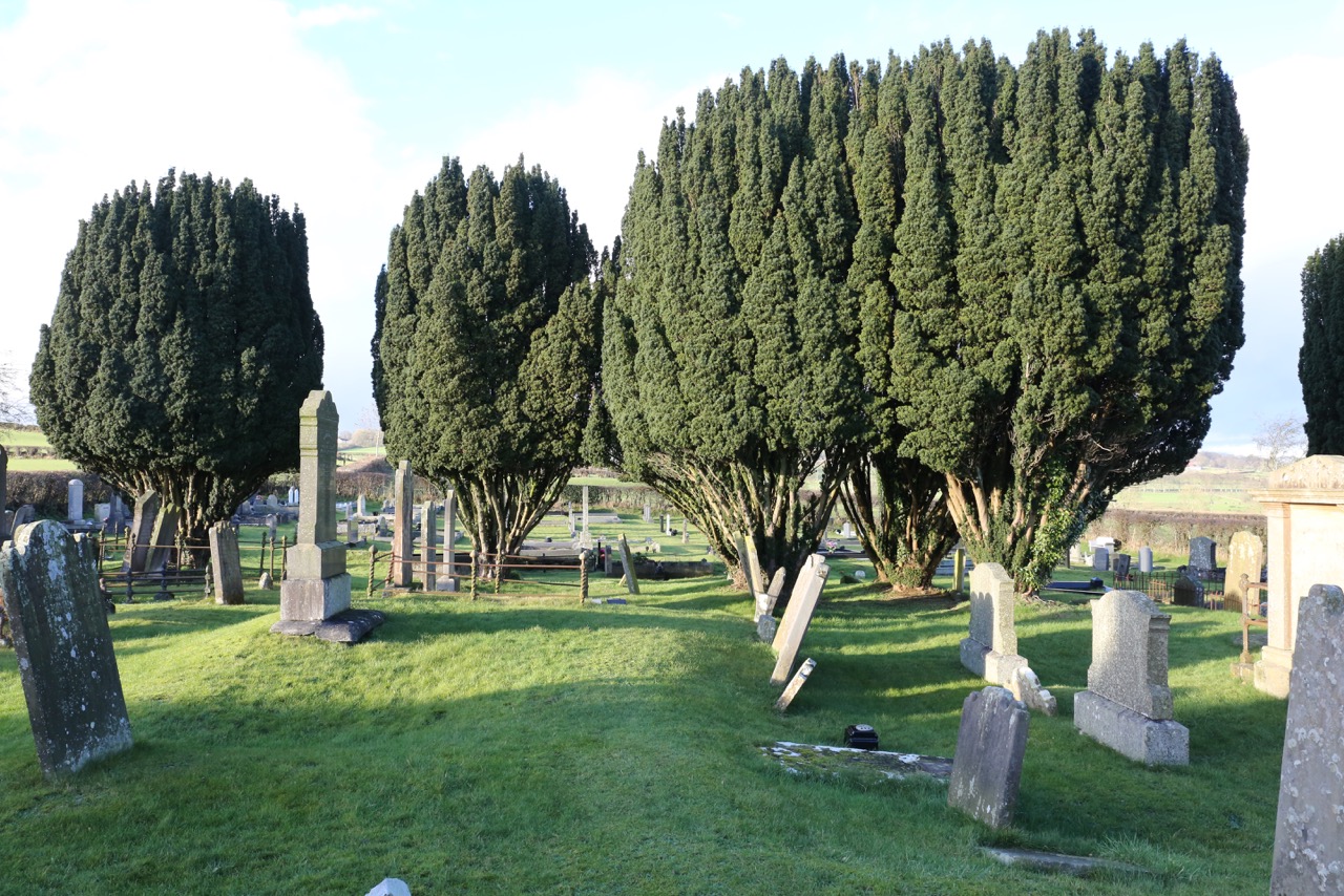 Kilbride CemeteryLR5C2375.jpeg