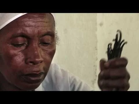 Vanilla: A Pure Flavor Story