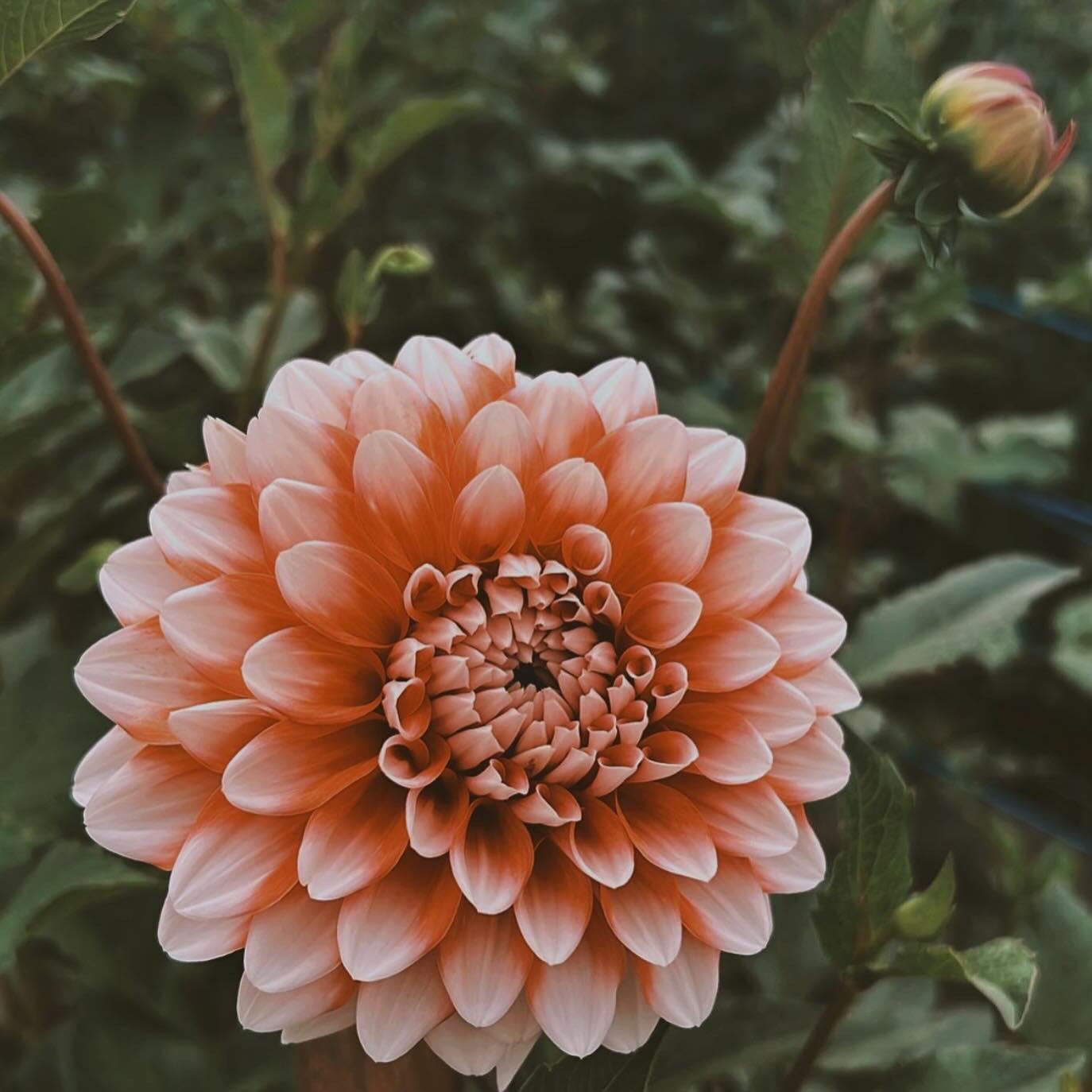 Your body thrives on rhythm and routine. ✨

Just like nourishment, movement, and rest, regular massage is an essential part of your well-being. One session brings relief, but a steady practice creates profound shifts&mdash;breaking old patterns, rest