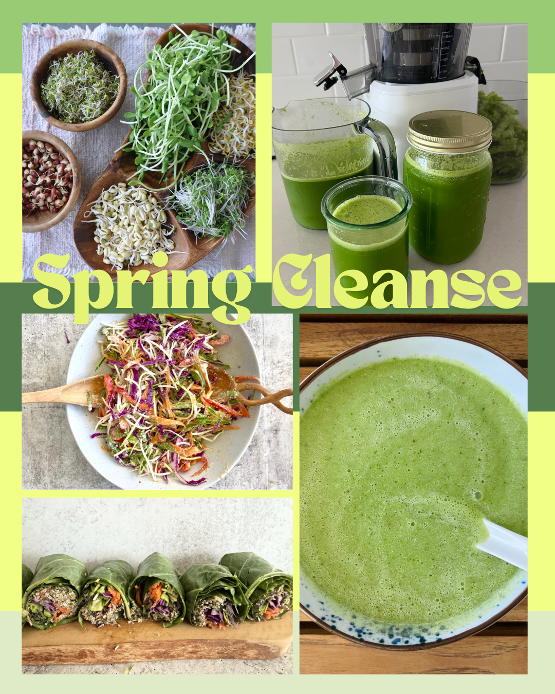 Spring Cleanse Workshop Saturday April 4th 1-3pm EST