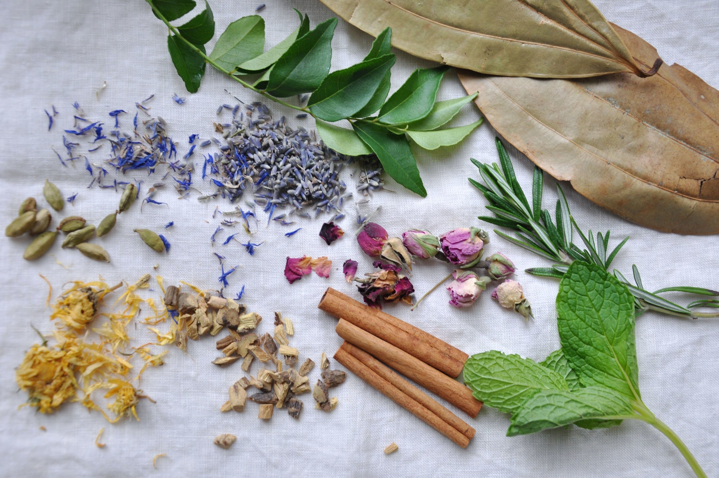 ayurvedaherbs-4.jpg