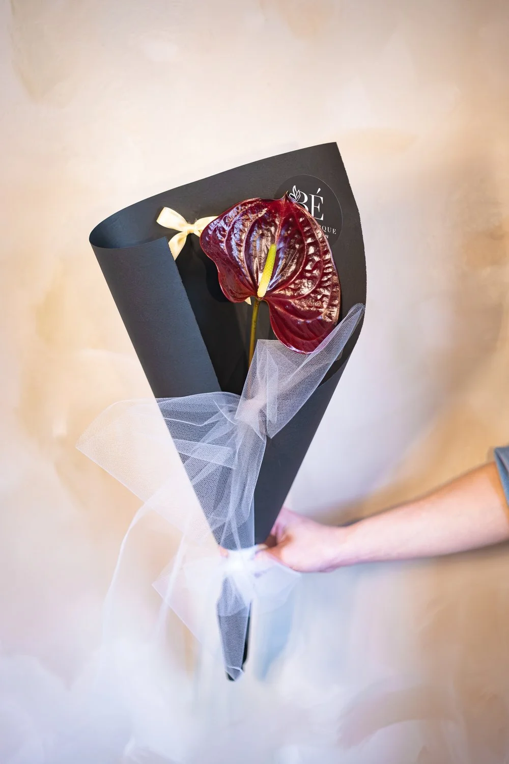 Belle Epoque Hamilton Florist - Spring Flowers 2026-098.jpg