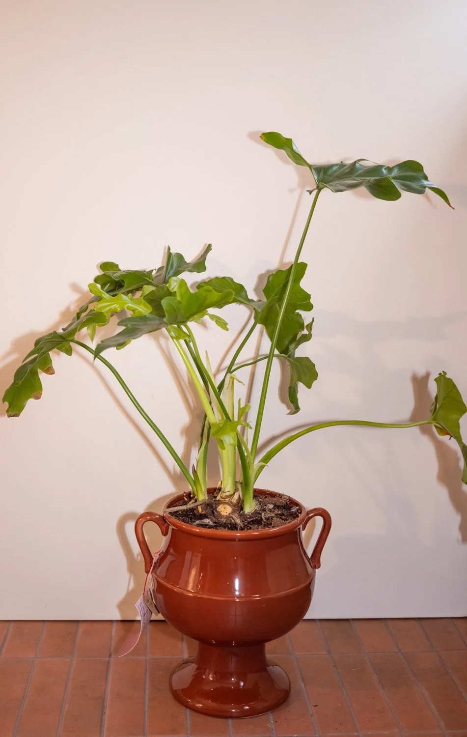 Belle Epoque Hamilton Florist-127.jpg