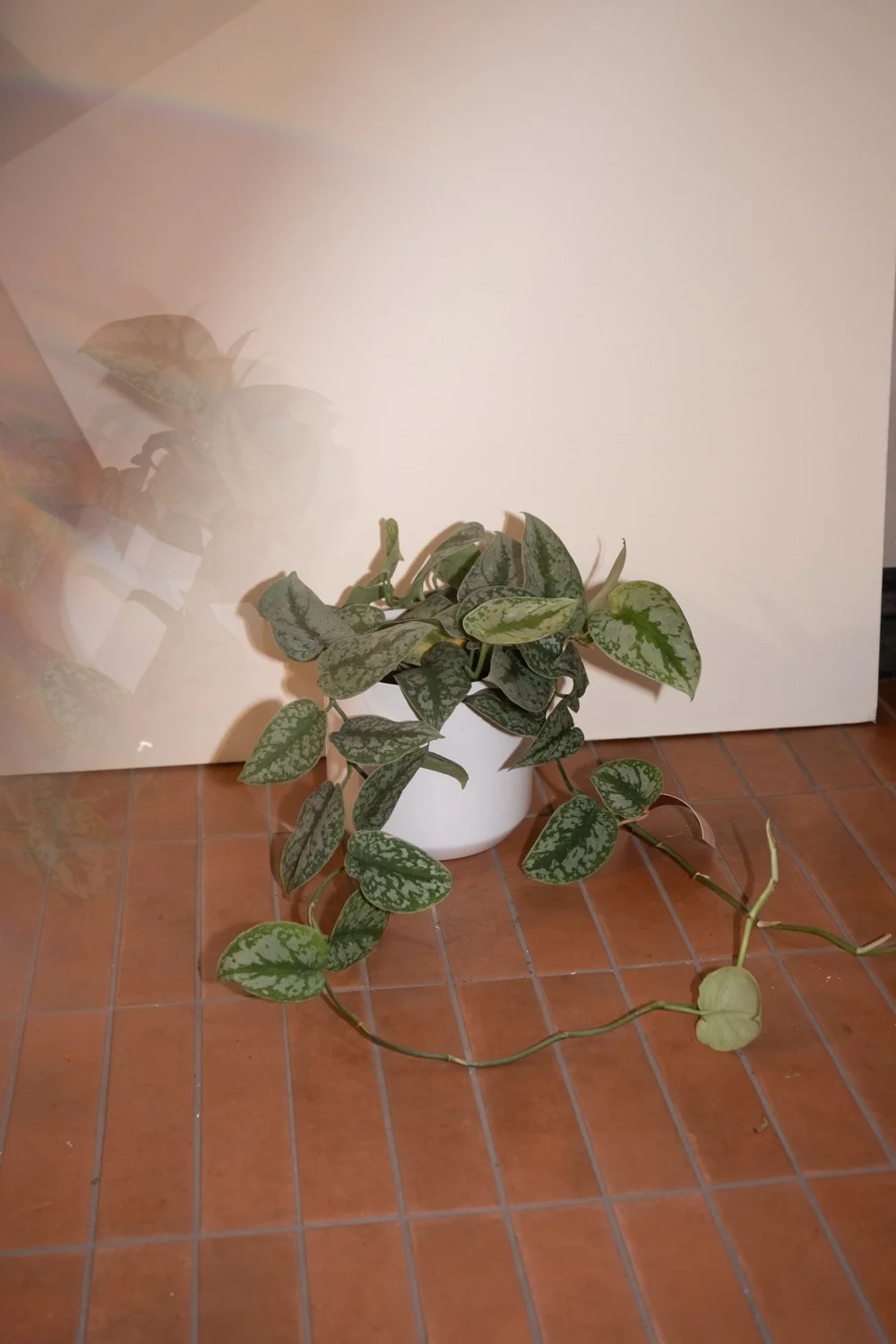 Belle Epoque Hamilton Florist-138.jpg