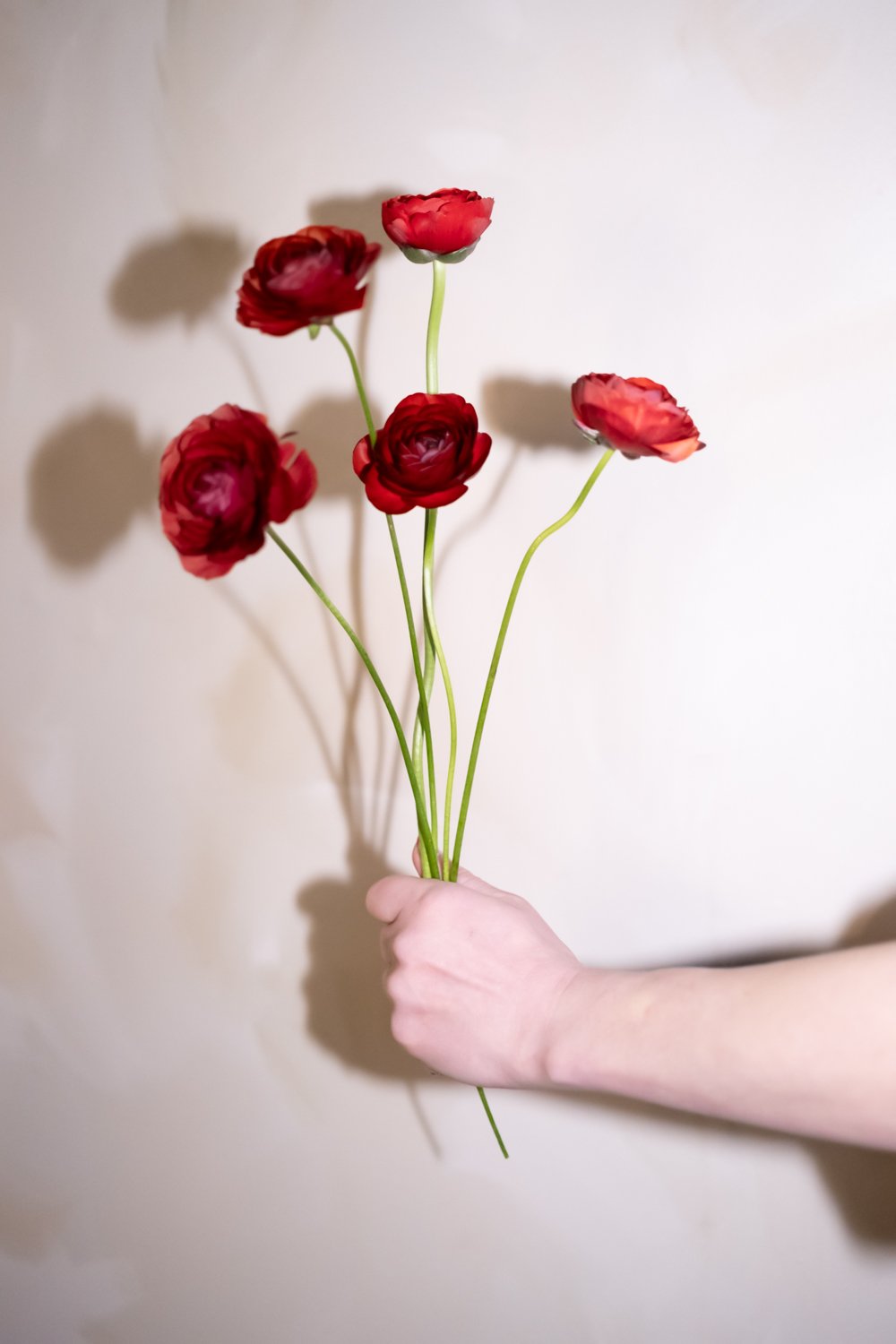 Belle Epoque Hamilton Florist Spring-6.jpg