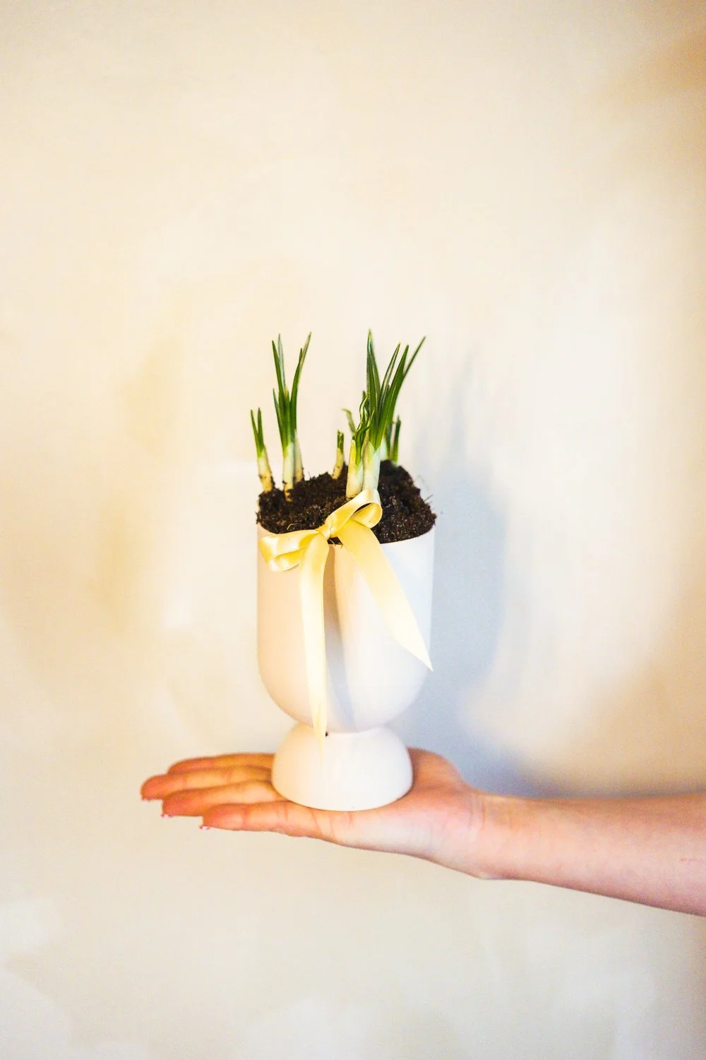 Belle Epoque Hamilton Florist - Spring Flowers 2026-087.jpg