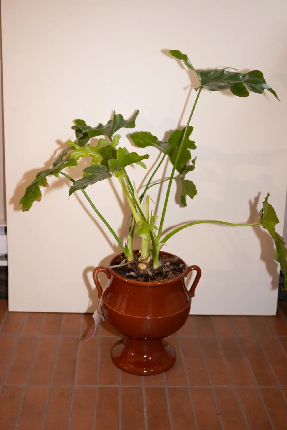 Belle Epoque Hamilton Florist-126.jpg