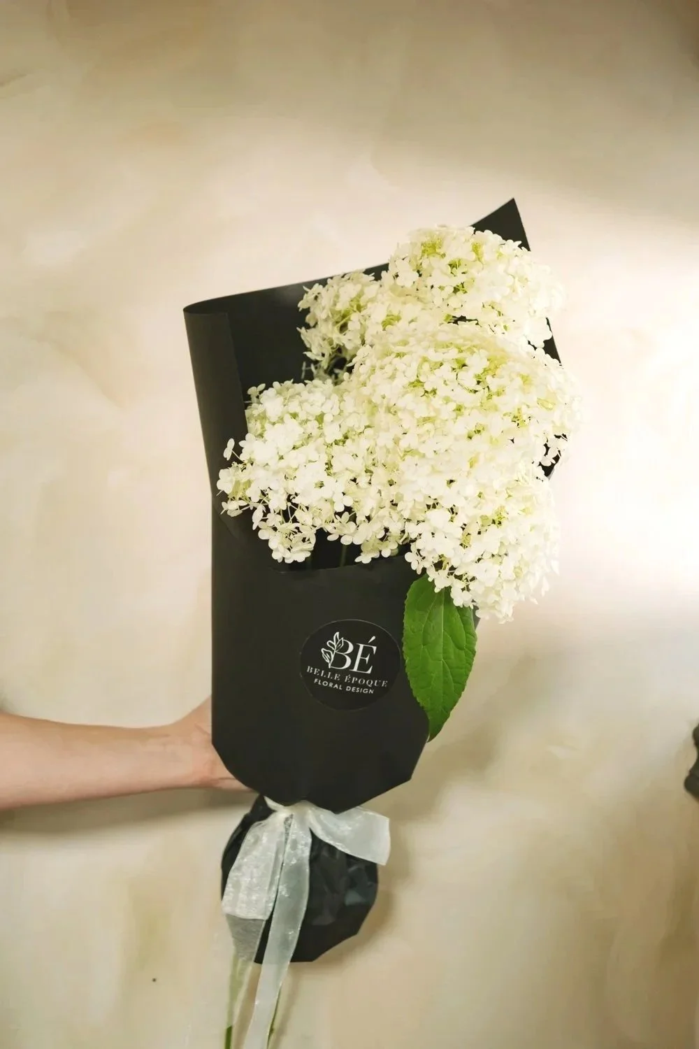 Belle%2BEpoque%2BHamilton%2BFlorist%2B-%2BSummer%2B2026-022.jpg
